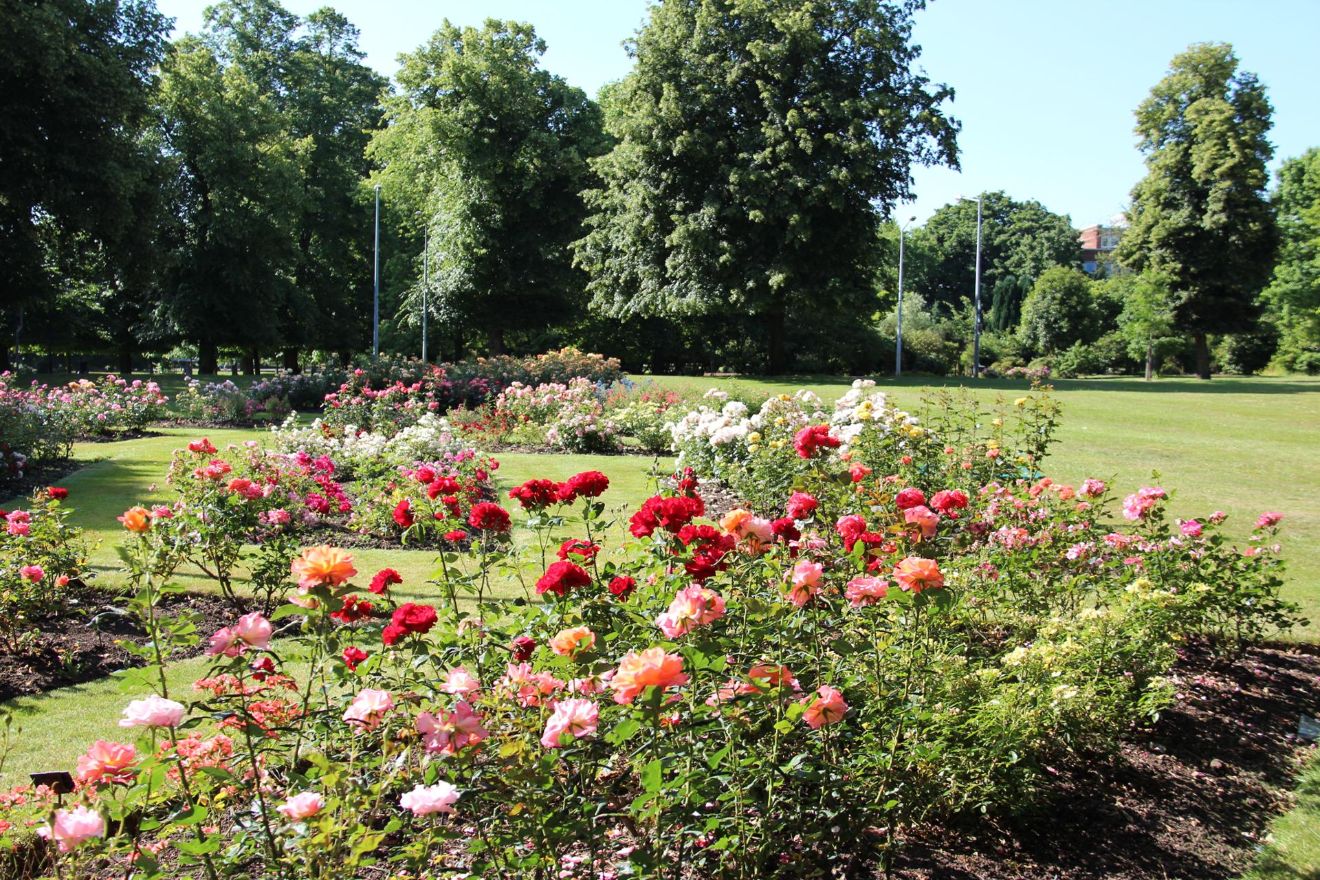 08 - City_Centre_Parks_1.jpg